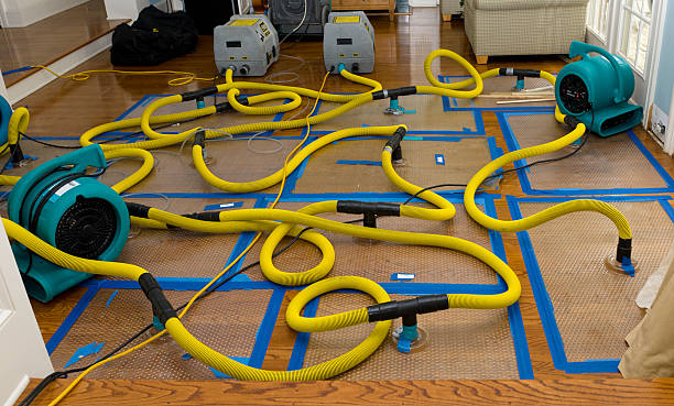 Professional Crawl Space Water Removal technician working in Scituate, MA